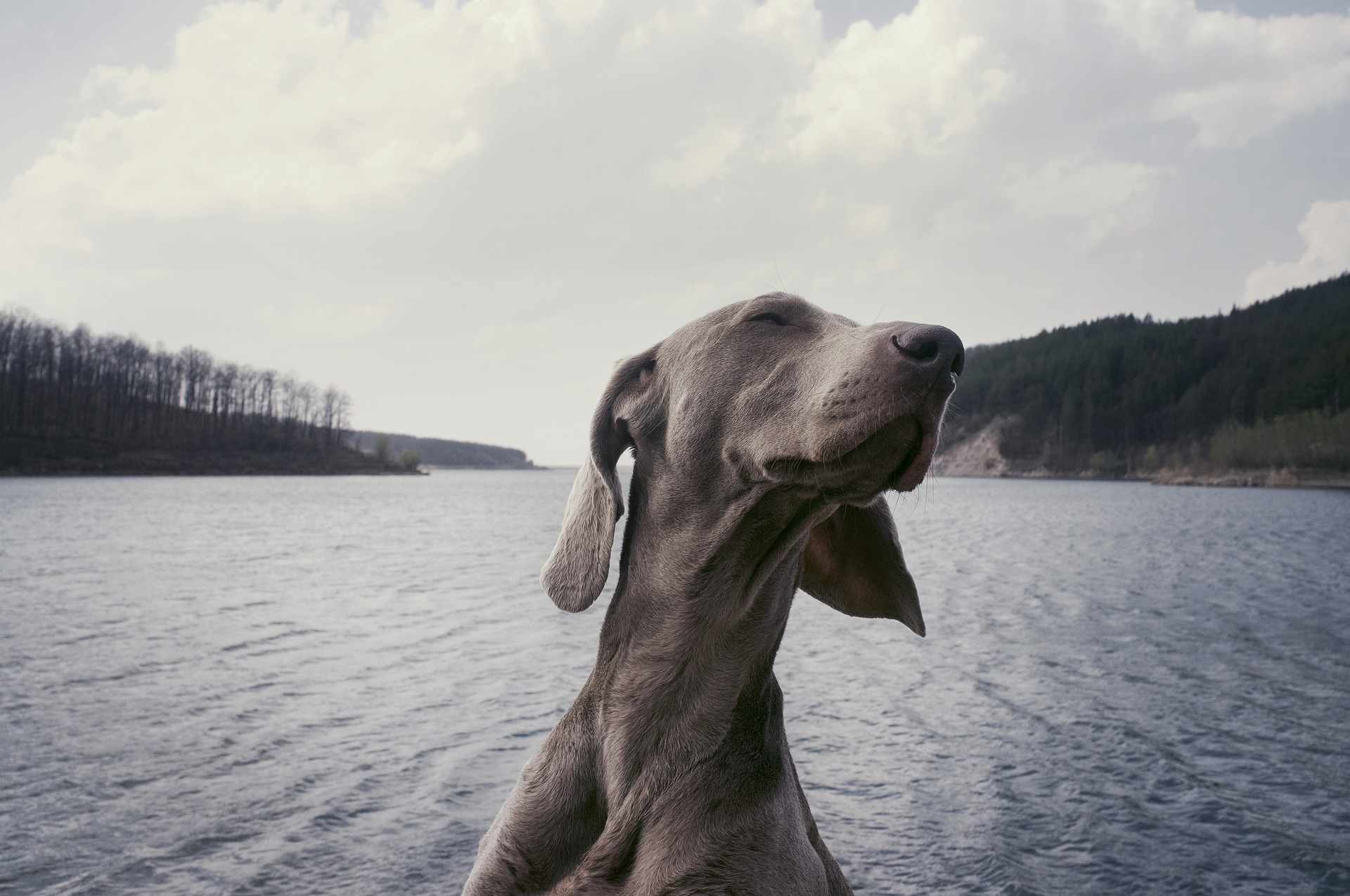 Wir machen eine kleine Pause...