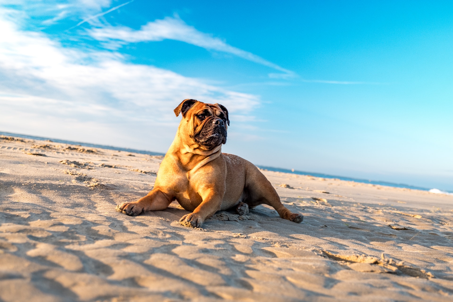 Wir machen Urlaub...